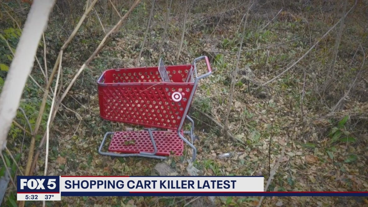 Mother of alleged 'Shopping Cart Killer' victim speaks out